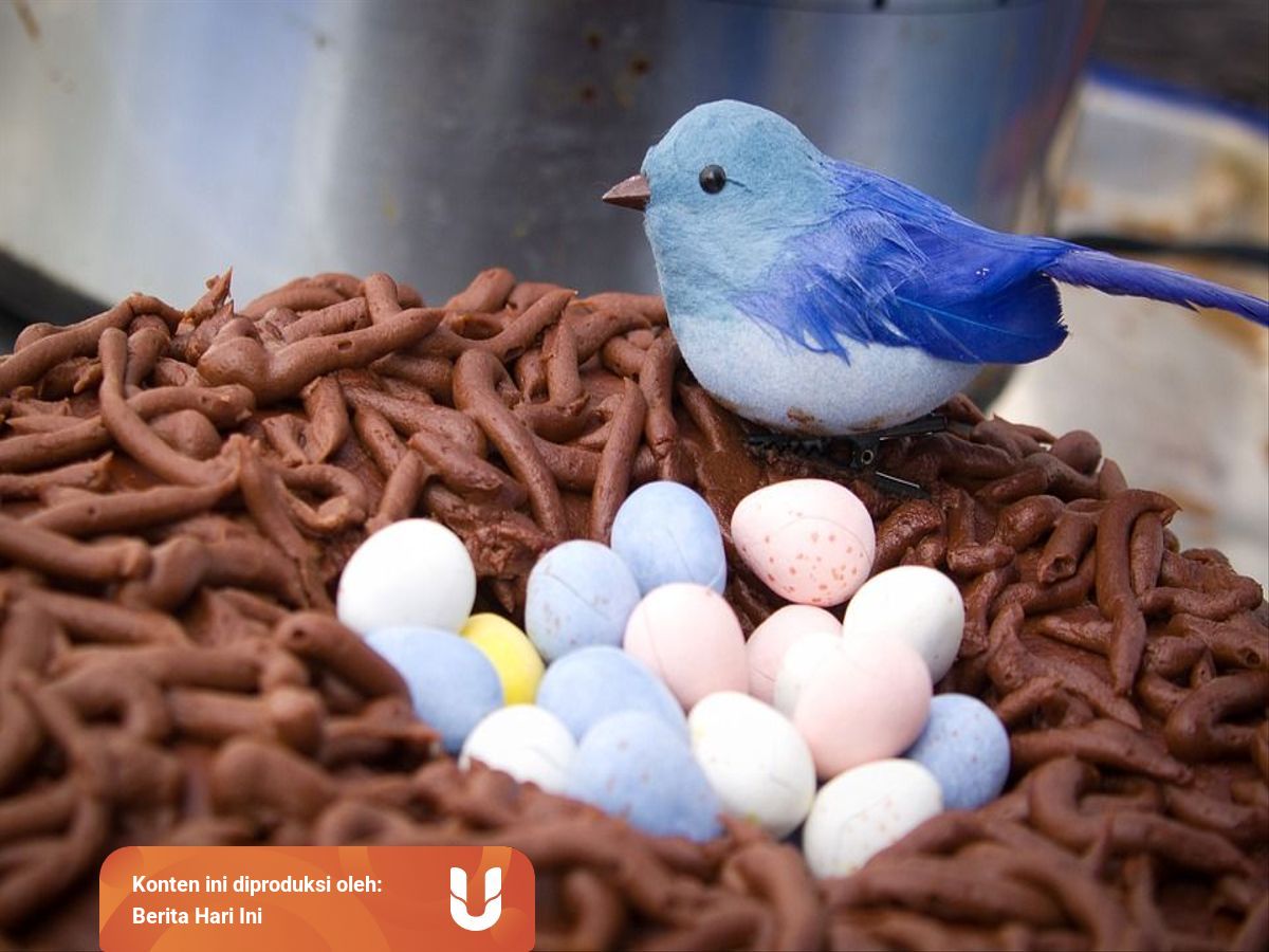 √ Hewan Yang Berkembang Biak Dengan Cara Bertelur